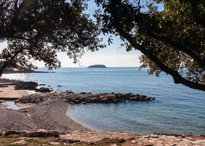 Апартаменты In - Istrien 9923 *